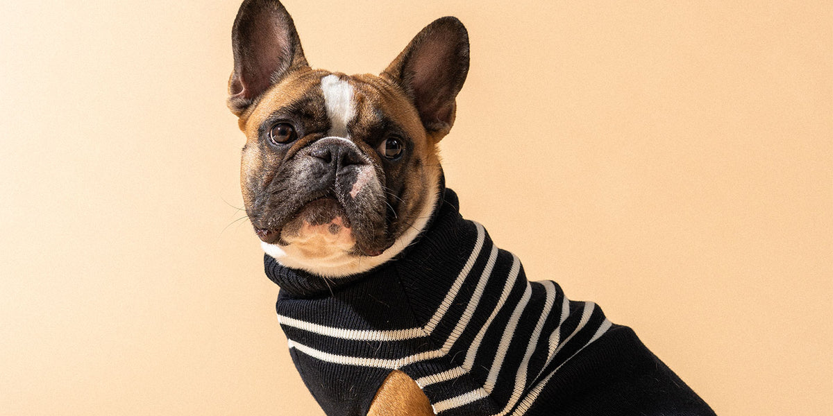 PARISIAN PUP SWEATER - Authentic Breton Striped Sweater for Dogs 
