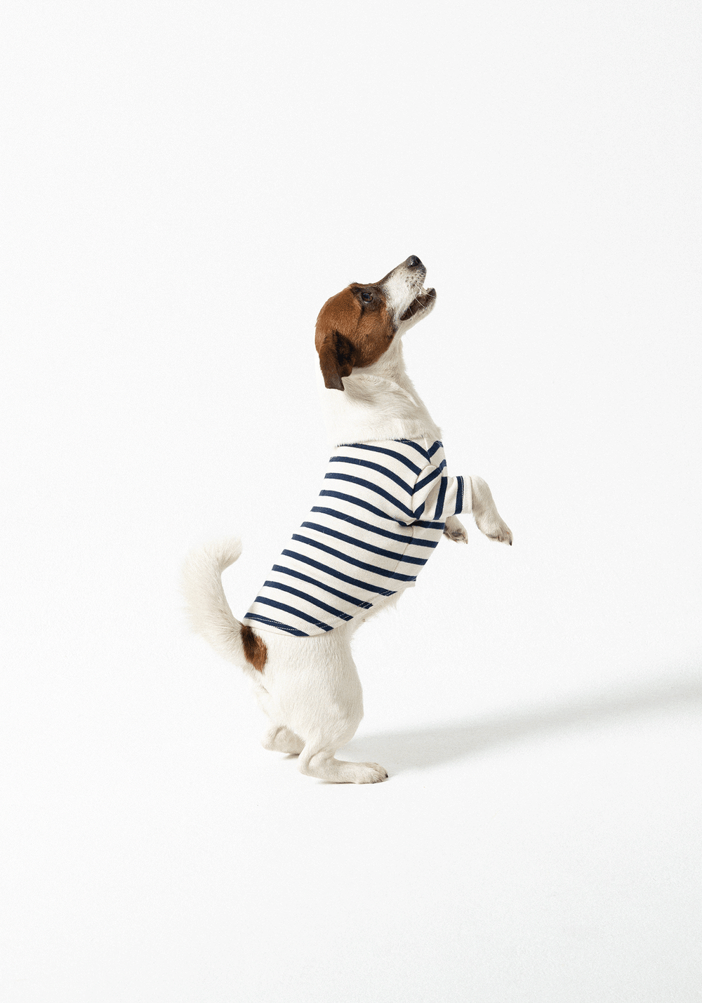 Parisian Pup Shirt (ECRU / NAVY)