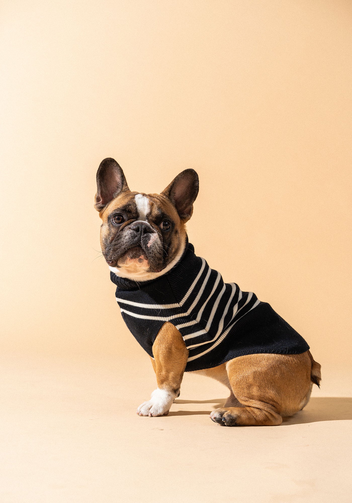 Parisian Pup Sweater (NAVY / IVORY)