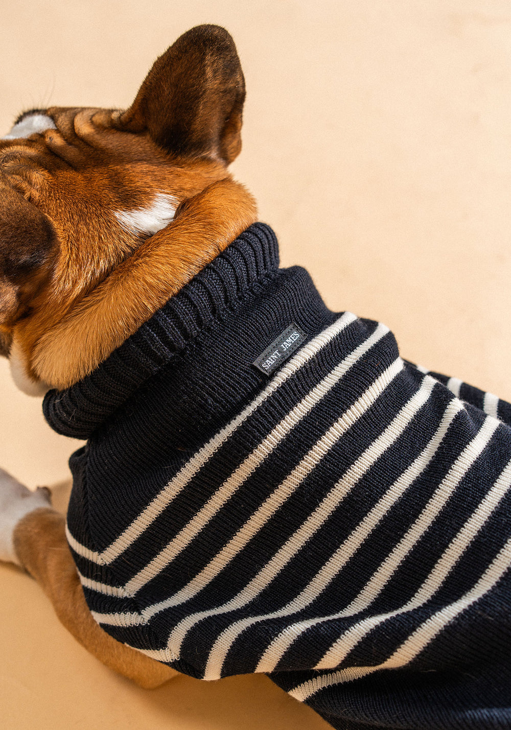 Parisian Pup Sweater (NAVY / IVORY)