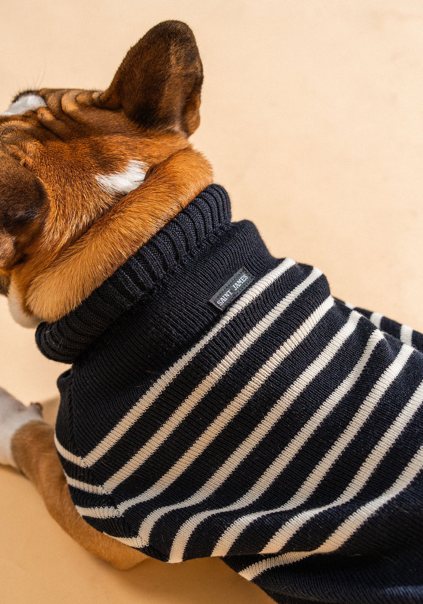 Parisian Pup Sweater (NAVY / IVORY)