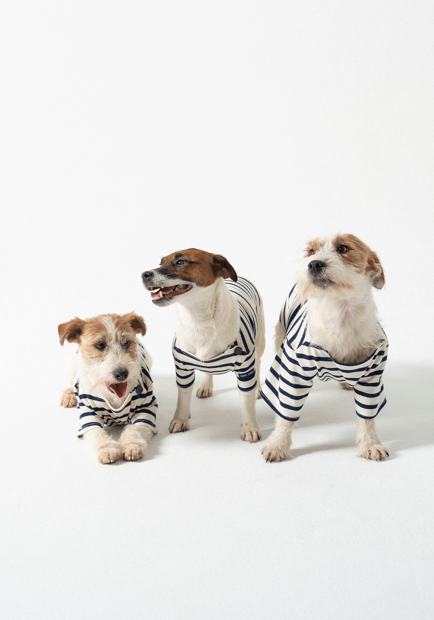 PARISIAN PUP Shirt (ECRU / NAVY)