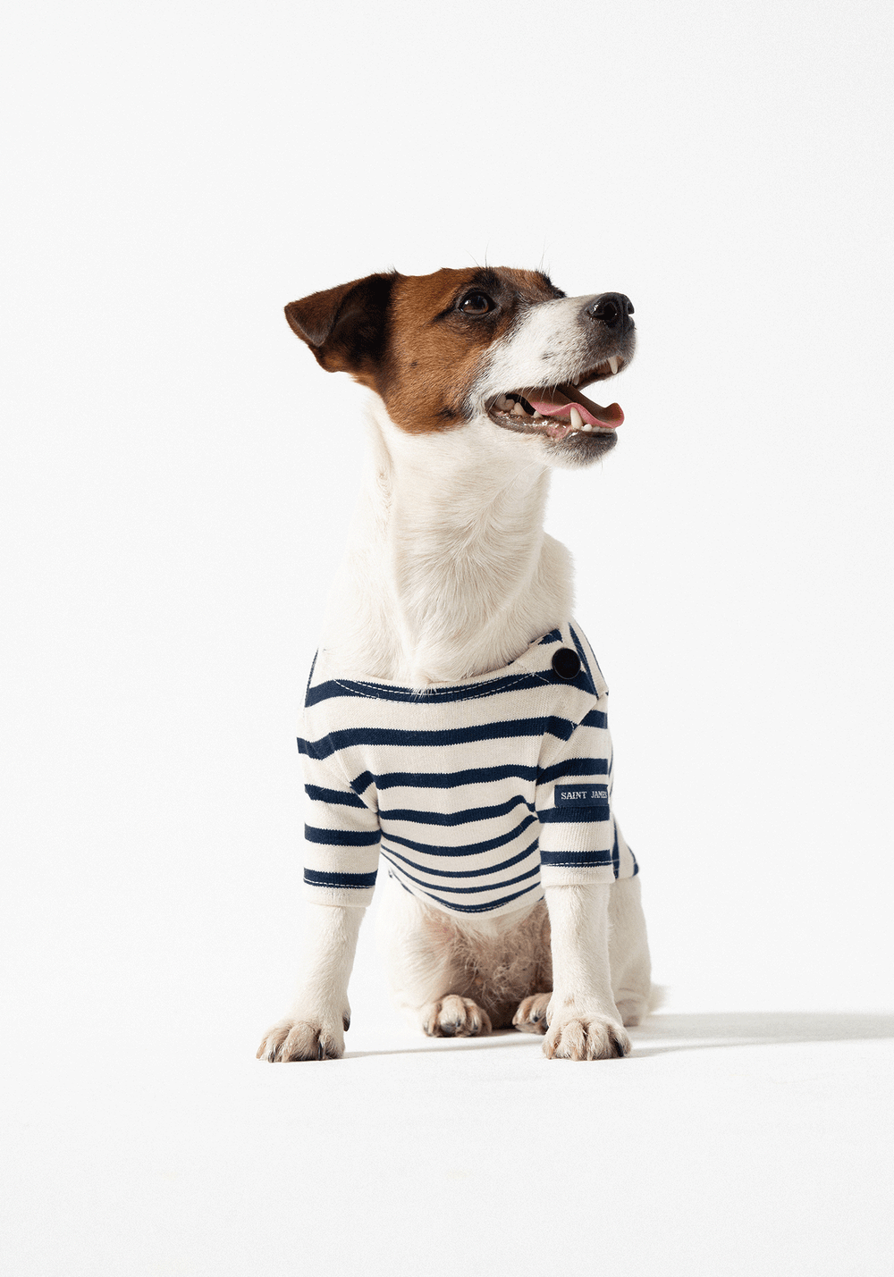 Parisian Pup Shirt (ECRU / NAVY)
