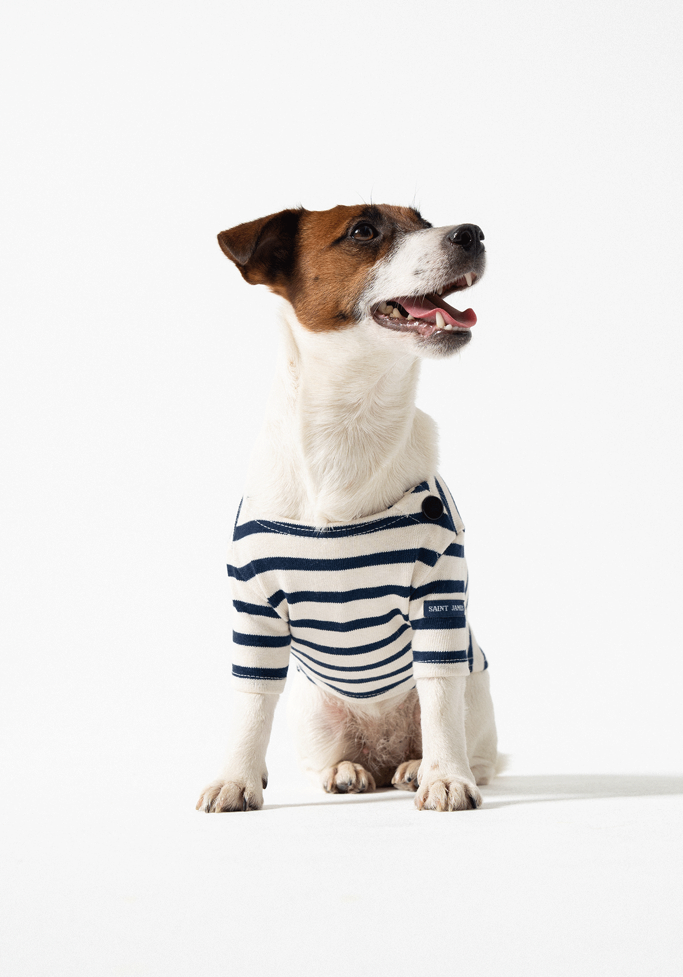 Parisian Pup Shirt (ECRU / NAVY)