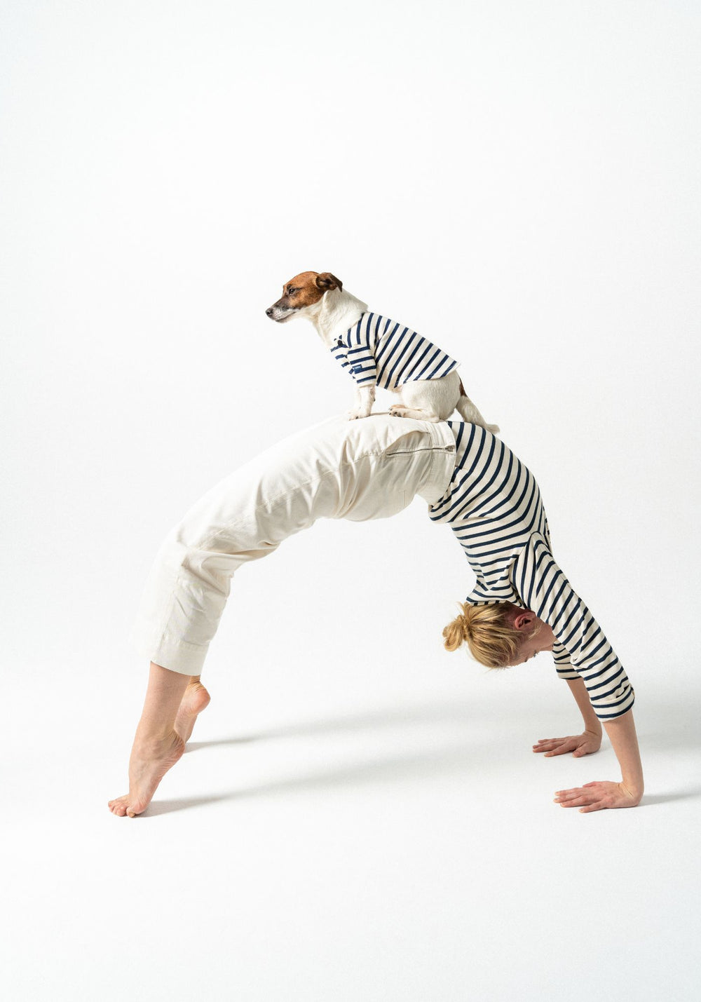 Parisian Pup Shirt (ECRU / NAVY)