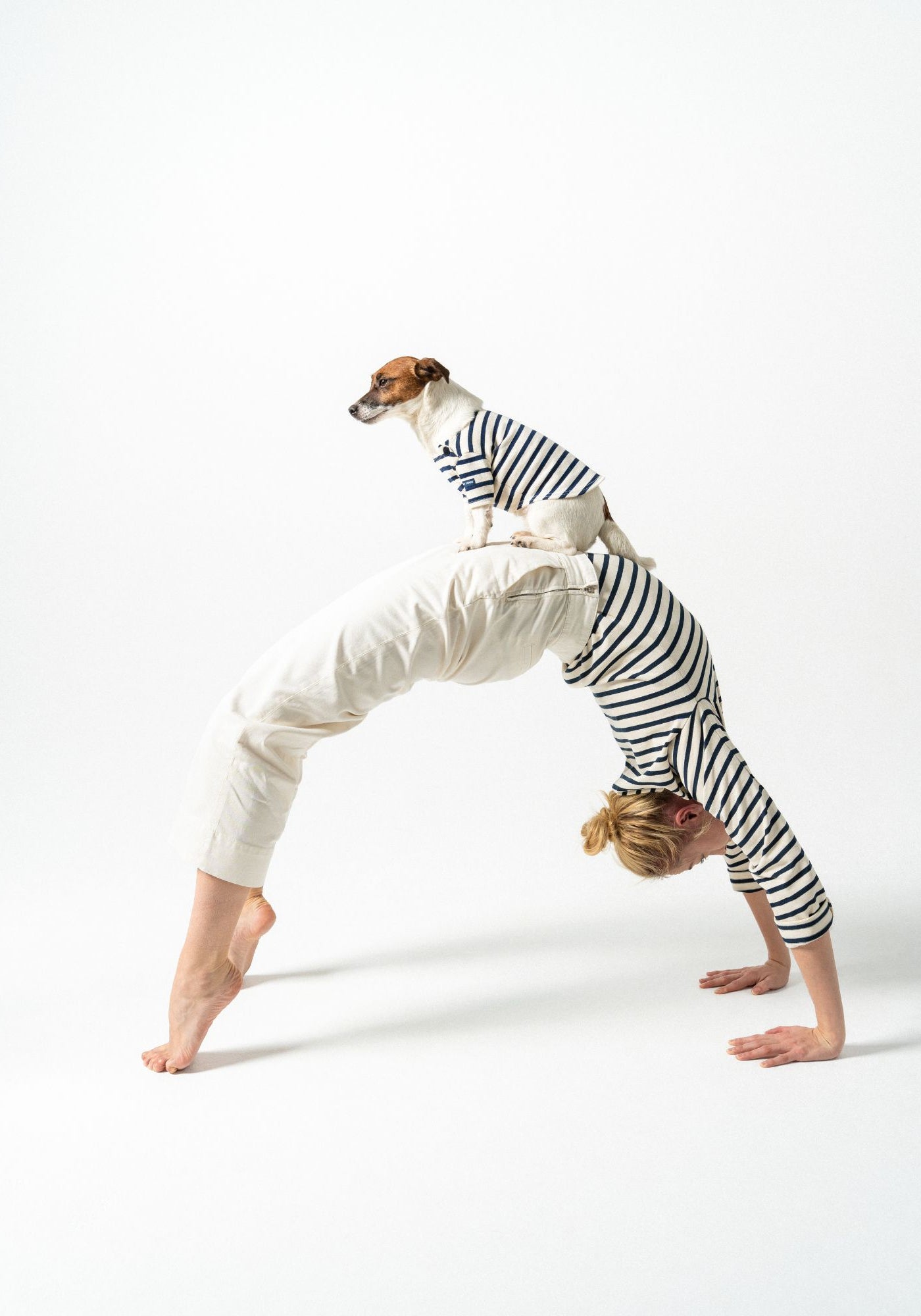 Parisian Pup Shirt (ECRU / NAVY)