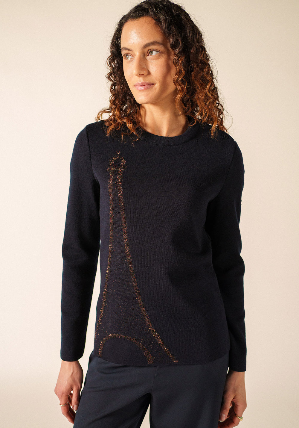 Bregancon Eiffel Breton Sweater (NAVY / BRONZE)