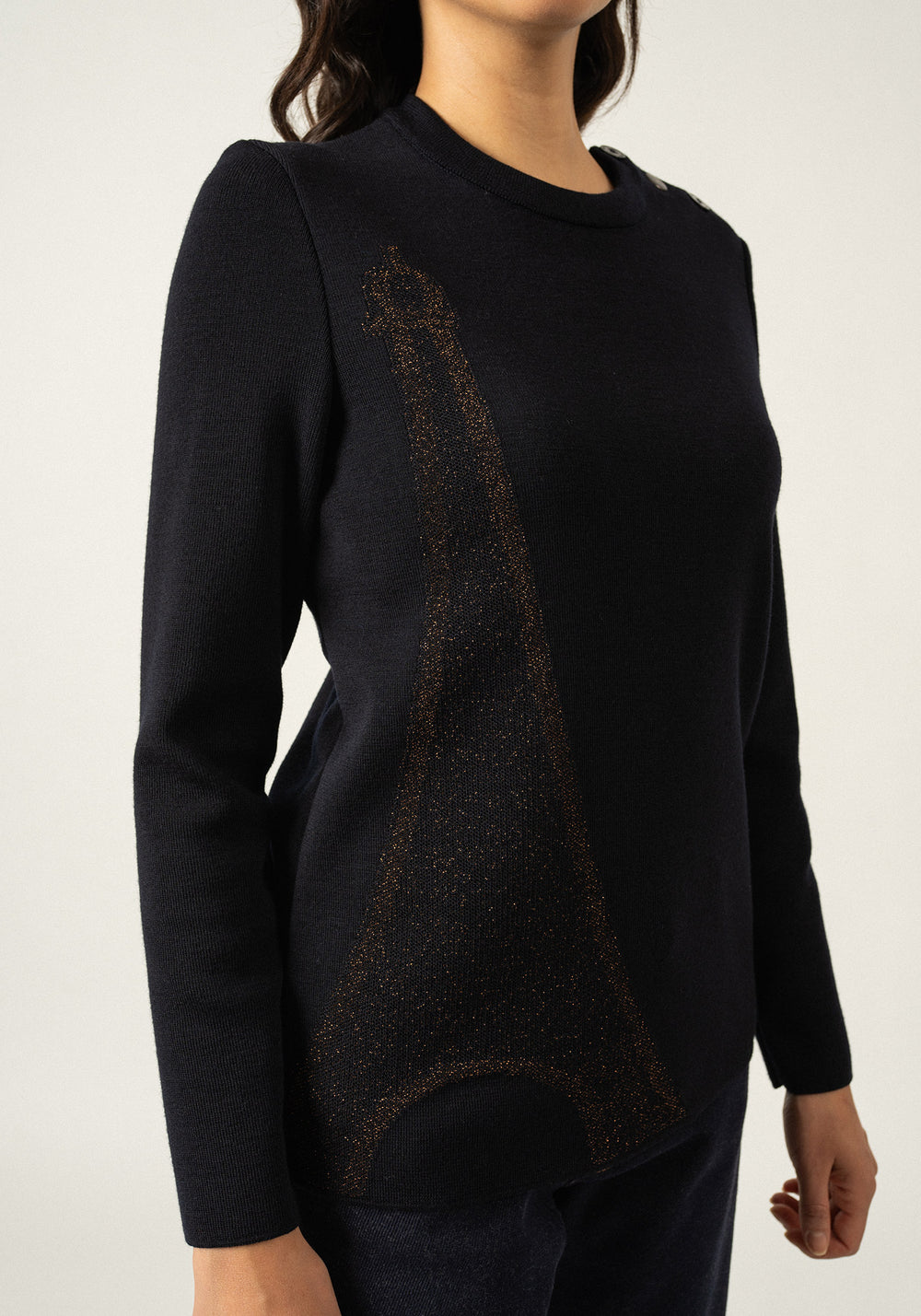 Bregancon Eiffel Breton Sweater (NAVY / BRONZE)