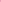 Lilly Pulitzer x VOISSEY - Cotton Sweater with Lilly Logo Embroidery  (NEON PINK / WHITE)