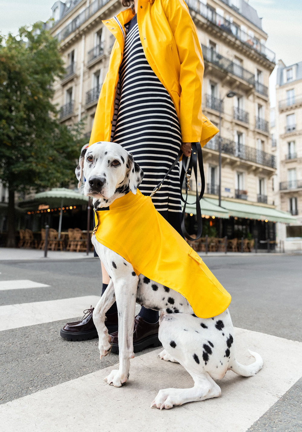 Parisian Pup Raincoat (YELLOW)