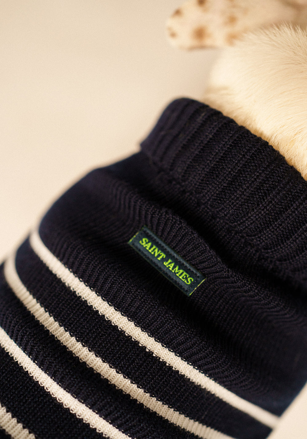 Parisian Pup Glowline Sweater (NAVY / GLOW)