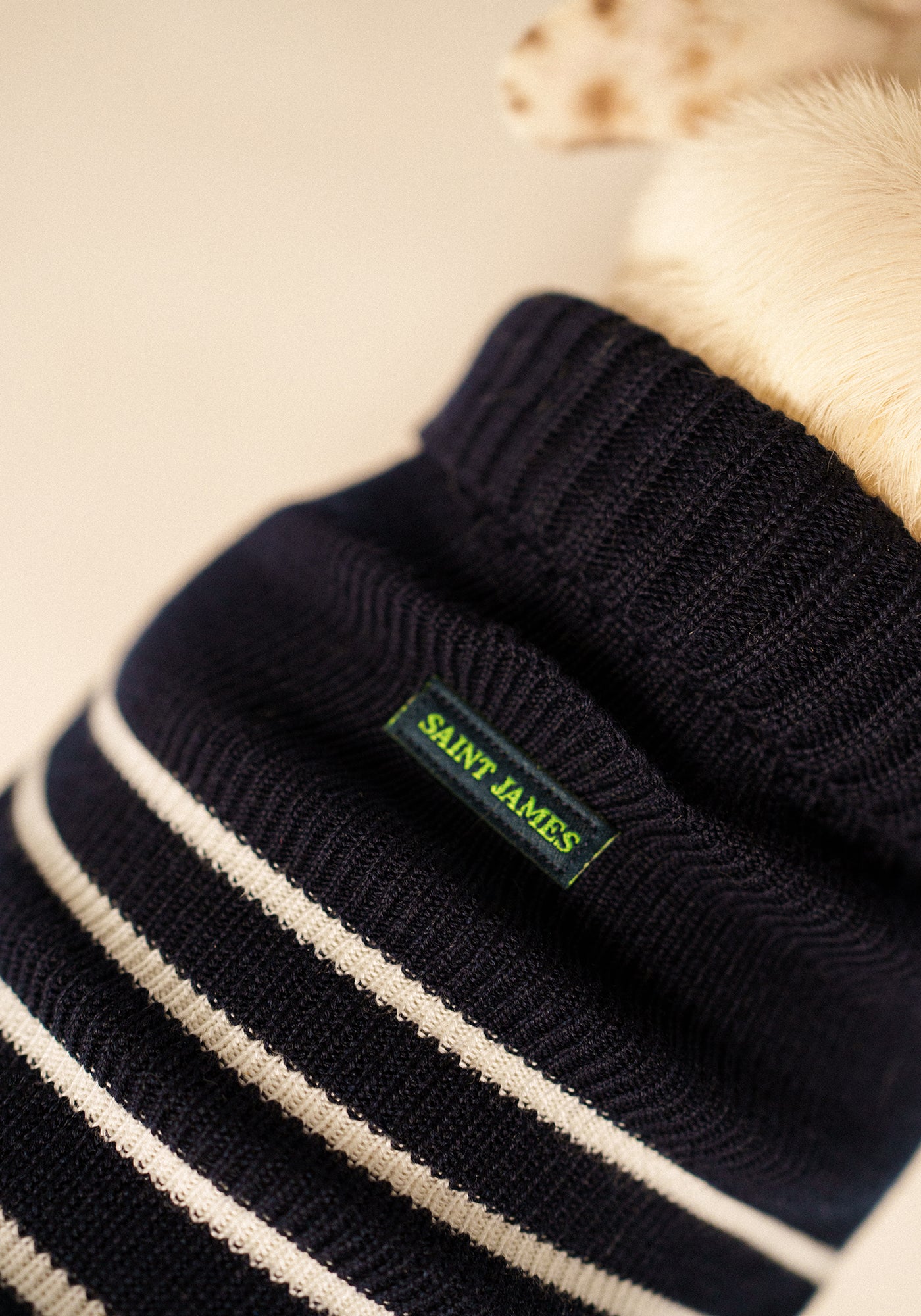 Parisian Pup Glowline Sweater (NAVY / GLOW)