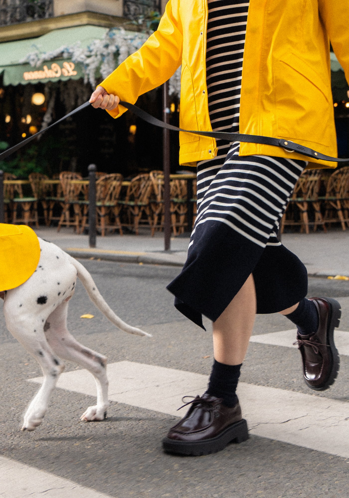 Parisian Pup Raincoat (YELLOW)