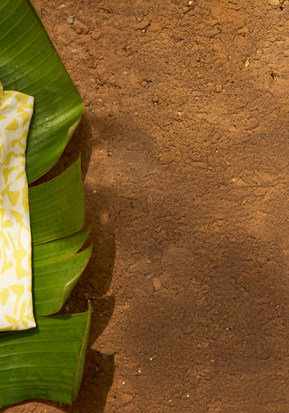 Jeanne Blouse (WHITE / YELLOW)