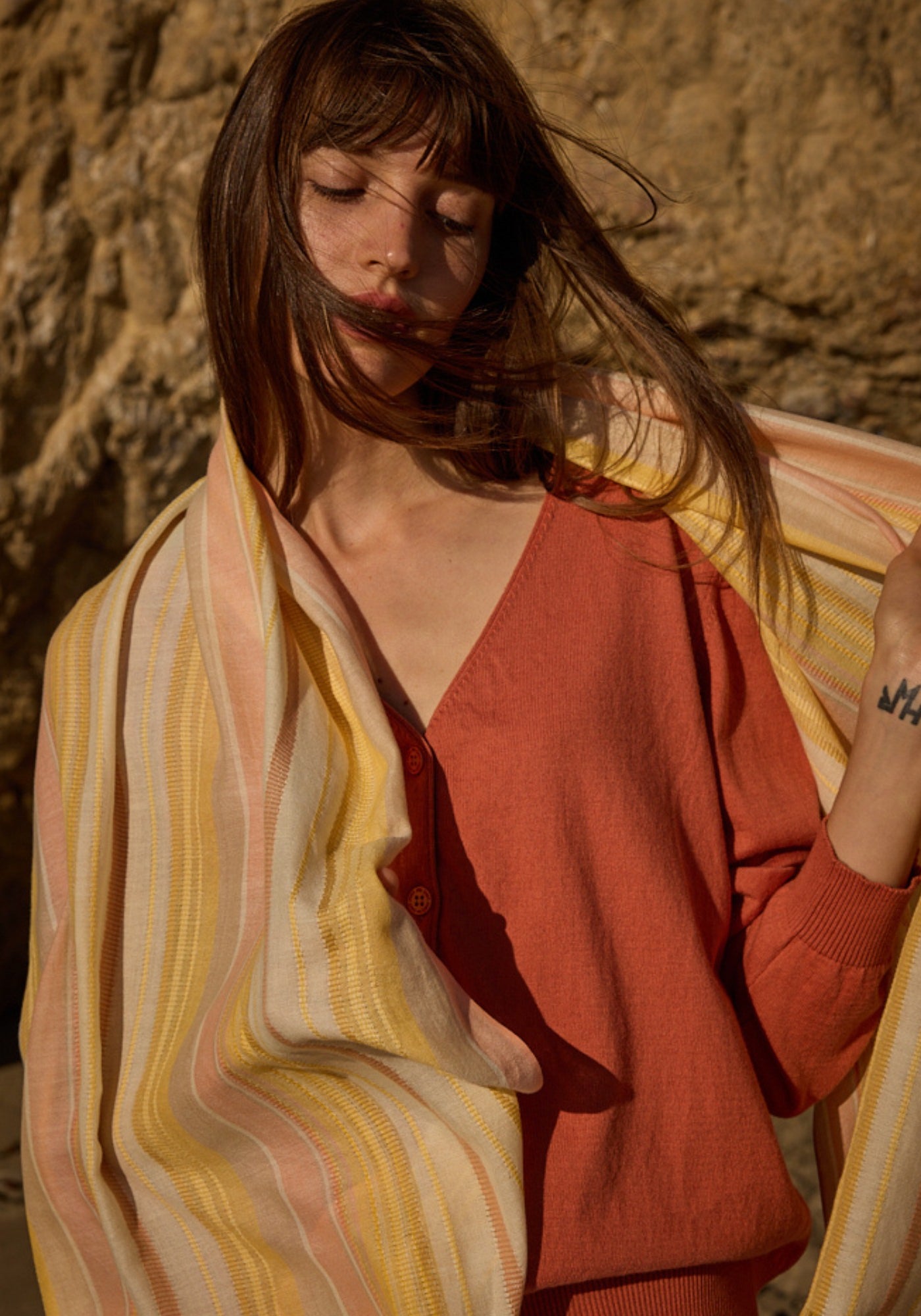 Multicolored striped scarf (INTERWOVEN EARTH)